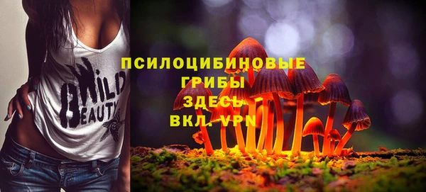 хмурый Волосово
